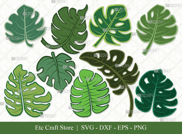 Monstera Leaf Clipart SVG Cut File | Monstera Leaves Svg | Monstera Leaf  With Hole Svg | Monstera Leaves Bundle | Green Leaf SVG | Eps | Dxf | Png | 