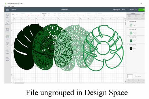 Monstera Leaf Layered Mandala SVG File - 4 Layers SVG Digital Honeybee 