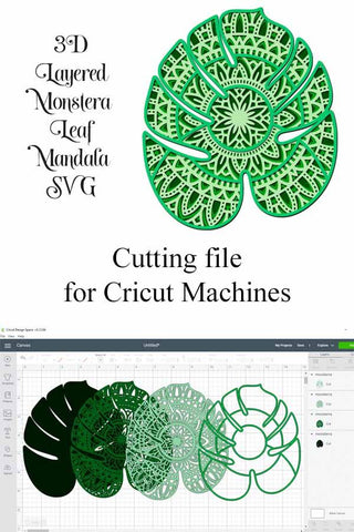 Monstera Leaf Layered Mandala SVG File - 4 Layers SVG Digital Honeybee 