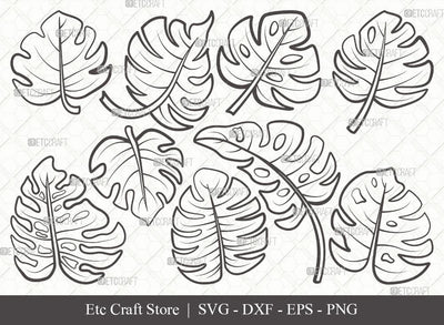 Monstera Leaf Outline SVG Cut File | Monstera Leaves Svg | Monstera Leaf  With Hole Svg | Monstera Leaves Bundle | Green Leaf SVG | Eps | Dxf | Png | 