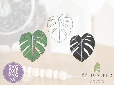 Monstera Leaf SVG | Botanical SVG | Farmhouse Sign Design SVG LilleJuniper 