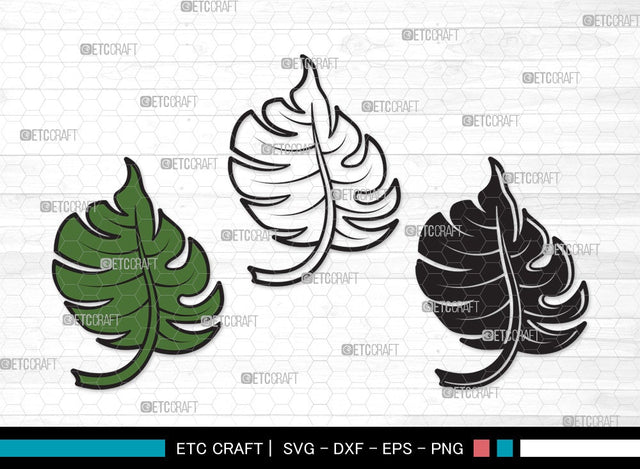 Monstera Leaf SVG Cut File | Monstera Leaves Svg | Monstera Leaf With Hole Svg | Green Leaf SVG | Monstera Leaves Svg | Monstera Leaf Clipart SVG ETC Craft 