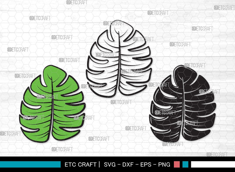 Monstera Leaf SVG Cut File | Monstera Leaves Svg | Monstera Leaf With ...