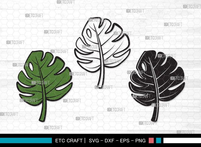 Monstera Leaf SVG Cut File | Monstera Leaves Svg | Monstera Leaf With Hole Svg | Green Leaf SVG | Monstera Leaves Svg | Monstera Leaf Clipart SVG ETC Craft 