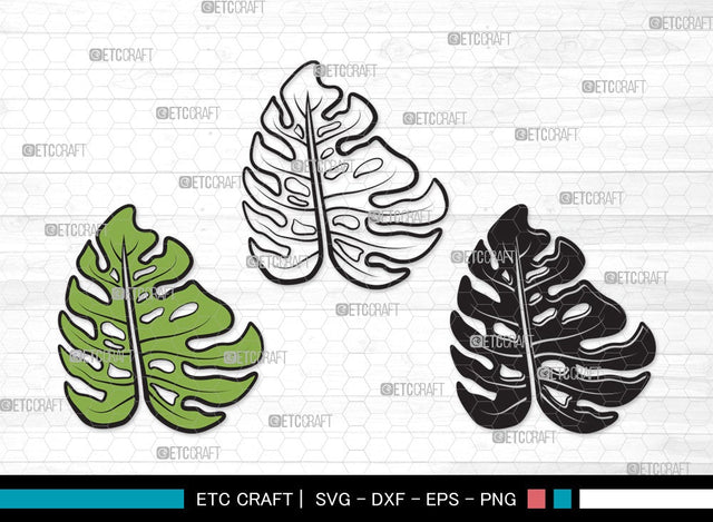 Monstera Leaf SVG Cut File | Monstera Leaves Svg | Monstera Leaf With Hole Svg | Green Leaf SVG | Monstera Leaves Svg | Monstera Leaf Clipart SVG ETC Craft 