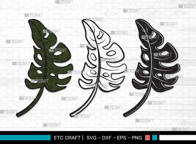 Monstera Leaf SVG Cut File | Monstera Leaves Svg | Monstera Leaf With Hole Svg | Green Leaf SVG | Monstera Leaves Svg | Monstera Leaf Clipart SVG ETC Craft 
