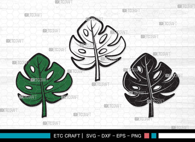 Monstera Leaf SVG Cut File | Monstera Leaves Svg | Monstera Leaf With Hole Svg | Green Leaf SVG | Monstera Leaves Svg | Monstera Leaf Clipart SVG ETC Craft 