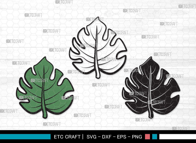 Monstera Leaf SVG Cut File | Monstera Leaves Svg | Monstera Leaf With Hole Svg | Green Leaf SVG | Monstera Leaves Svg | Monstera Leaf Clipart SVG ETC Craft 