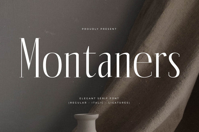 Montaners Typeface Font Storytype Studio 