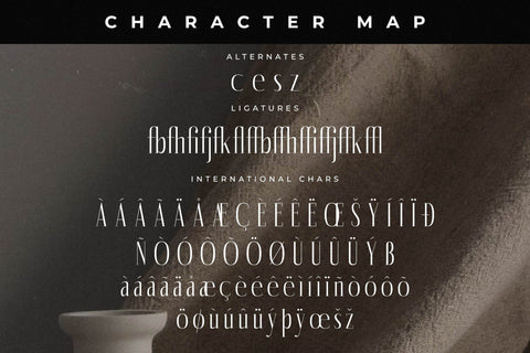 Montaners Typeface Font Storytype Studio 