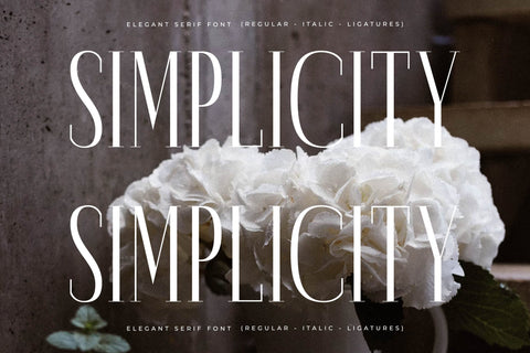 Montaners Typeface Font Storytype Studio 