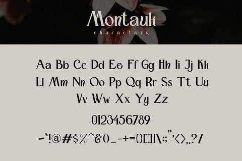 Montauk – Vintage Serif Font Font Vultype Co 