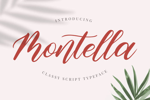 Montella Script Font Hayletter Creative 