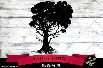 Monterey Cypress SVG -Vector Art Commercial & Personal Use- Cricut,Silhouette,Cameo,Vinyl Cut SVG Loveleen Kaur 