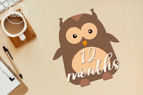Monthly Milestone Bundle for Cute Baby Photos SVG LaserCutano 