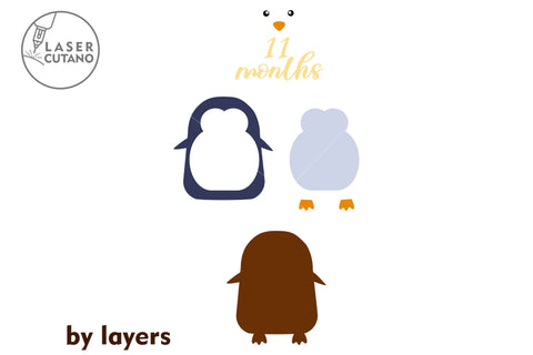 Monthly Milestone Bundle for Cute Baby Photos SVG LaserCutano 