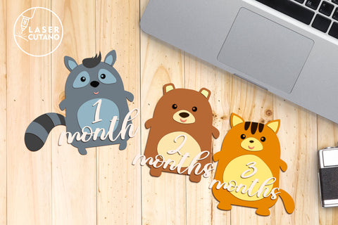 Monthly Milestone Bundle for Cute Baby Photos SVG LaserCutano 