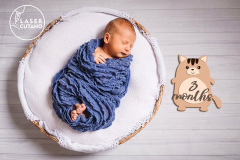 Monthly Milestone Bundle for Cute Baby Photos SVG LaserCutano 