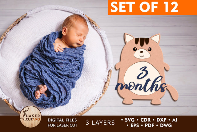 Monthly Milestone Bundle for Cute Baby Photos SVG LaserCutano 