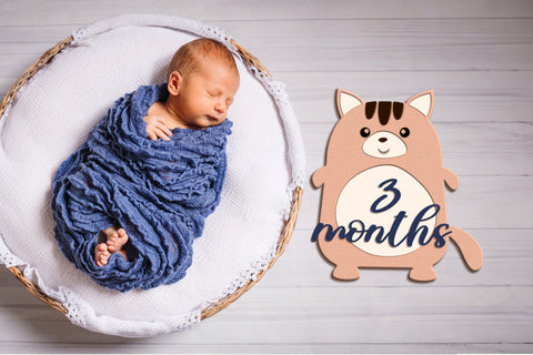 Monthly Milestone Bundle for Cute Baby Photos SVG LaserCutano 