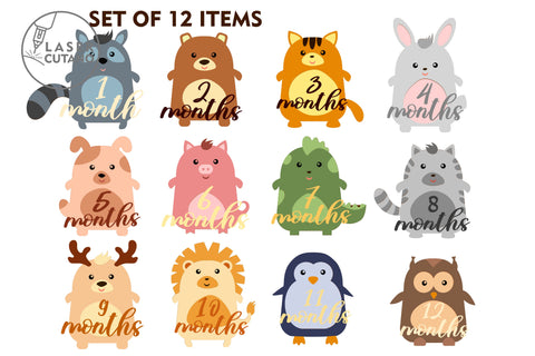 Monthly Milestone Bundle for Cute Baby Photos SVG LaserCutano 