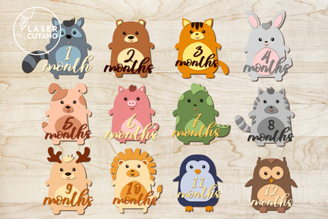 Monthly Milestone Bundle for Cute Baby Photos SVG LaserCutano 