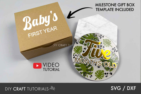 Monthly Milestone Disc SVG SVG DIY Craft Tutorials 