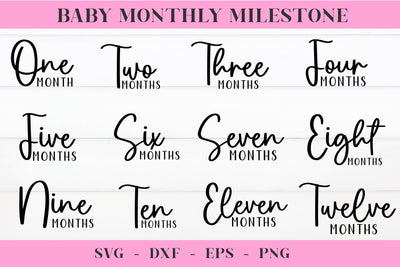 Monthly Milestones SVG, 12 Monthly Milestone, Milestone SVG Cut Files SVG Chamsae Studio 