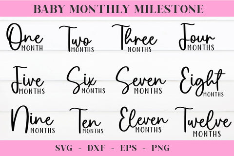 Monthly Milestones SVG, 12 Monthly Milestone, Milestone SVG Cut Files SVG Chamsae Studio 