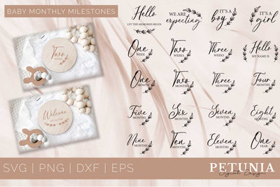 Monthly Milestones SVG | 21 Baby Milestones SVG Petunia Digital Design 