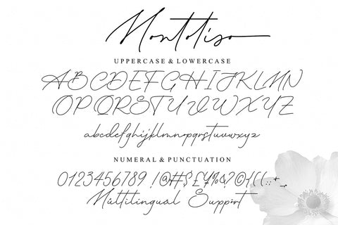 Montoliso Font Four Lines Std. 