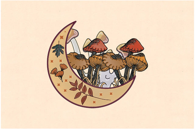 Moon Mushroom Sublimation Sublimation Jagonath Roy 