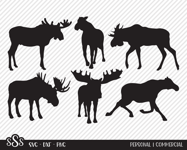 Moose Bundle | Outdoor SVG SVG Texas Southern Cuts 