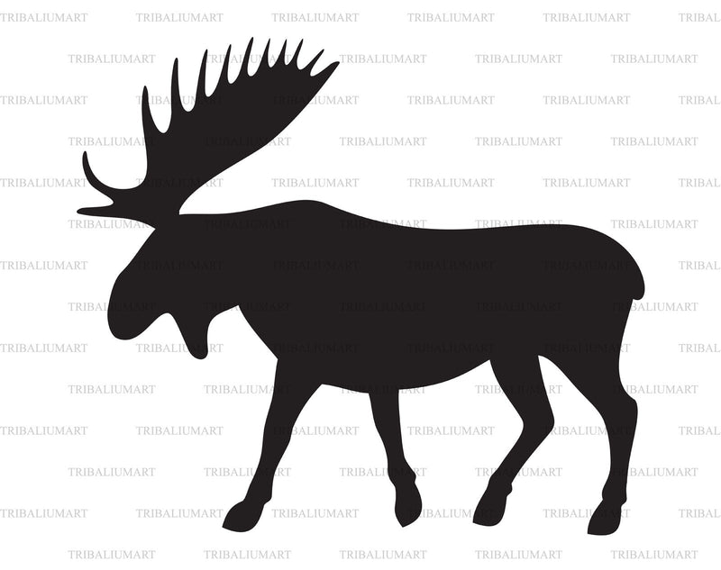 Moose SVG TribaliumArtSF 