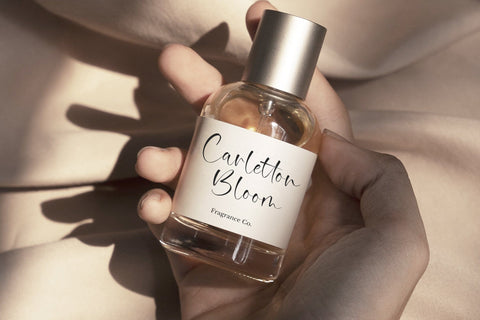 Moralist Jameson - Modern Script font Font Timur type 