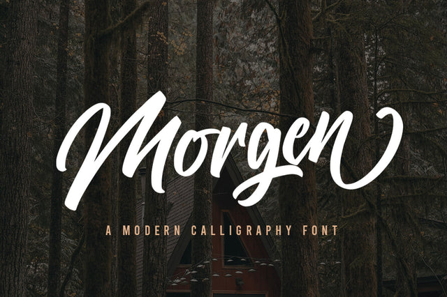 Morgen - Bold Brush Font Font Vultype Co 