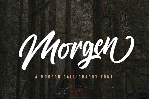 Morgen - Bold Brush Font Font Vultype Co 