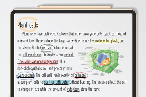 Morning Sunshine - cute hand writing font Font ChiraaDesign 