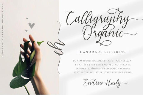 Morpline Font Allouse.Studio 
