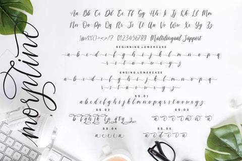 Morpline Font Allouse.Studio 