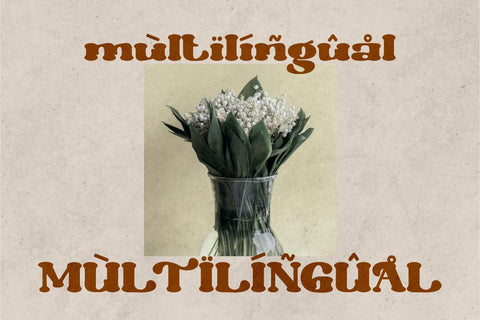 Morrello - Bold Retro Decorative Serif Font Font PutraCetol Studio 