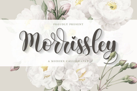 Morrissley | Modern Calligraphy Font studioalmeera 