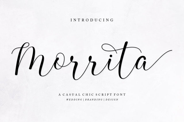 Morrita Script Font Rotterlab studio 