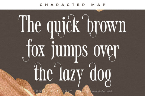 Mosfaghet Typeface Font Storytype Studio 