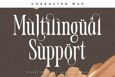 Mosfaghet Typeface Font Storytype Studio 