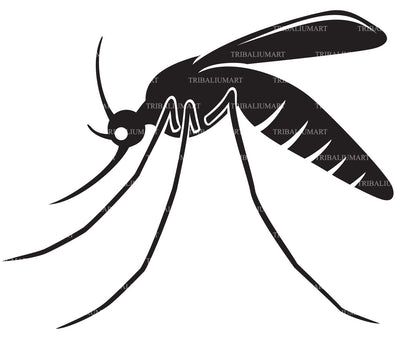 Mosquito SVG TribaliumArtSF 
