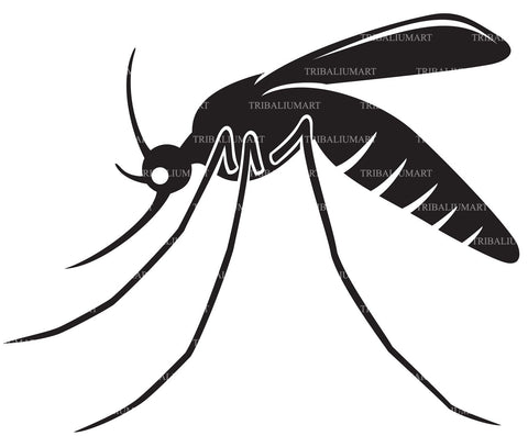 Mosquito SVG TribaliumArtSF 