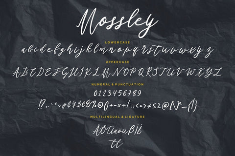 Mossley Signature Script Font Creatype Studio 
