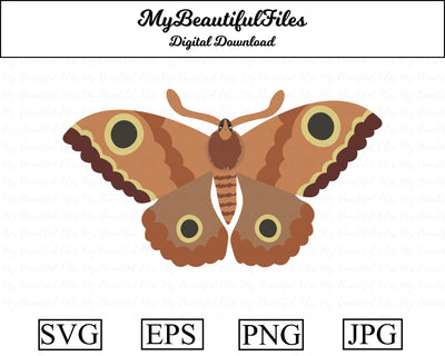 moth - animal SVG MyBeautifulFiles 