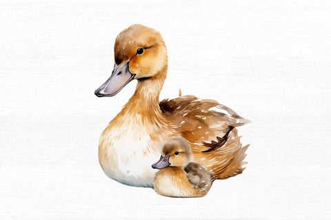 Mother and Baby Duck Watercolor Bundles Sublimation Regulrcrative 
